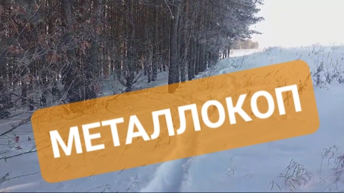 Дополнительный заработок/металлокоп/хобби.