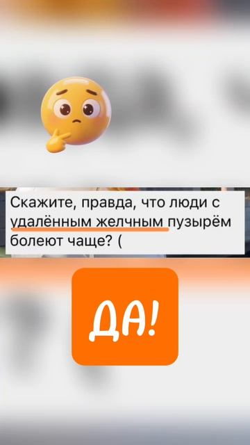 Желчный пузырь