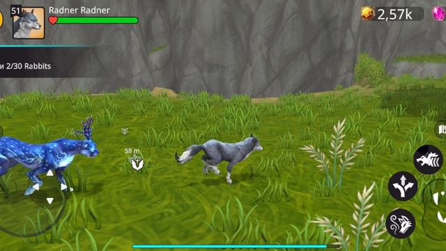 Animal Kingdoms! Ищем все сундуки.