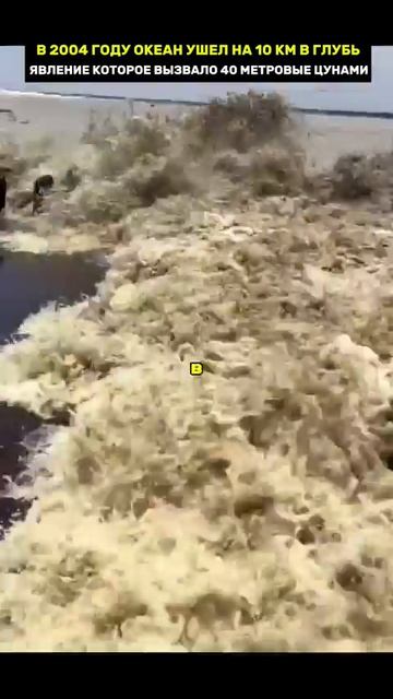 Стихийные бедствия