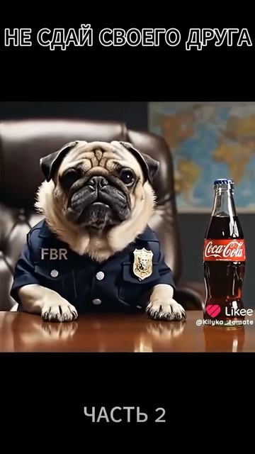 где ты сдашь друга?