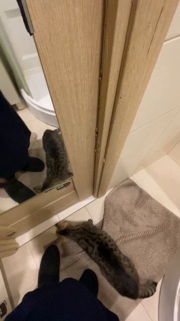 Вот дверь 434