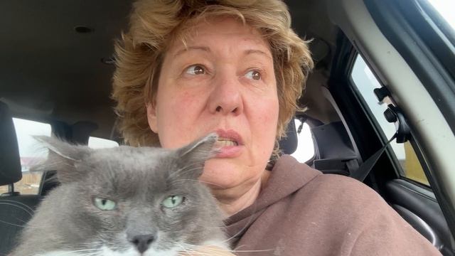 Пятачок едет к врачу. Просим помощи!