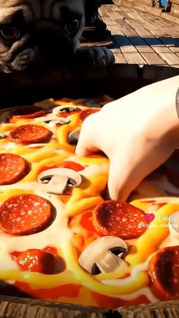 выбери слайм!