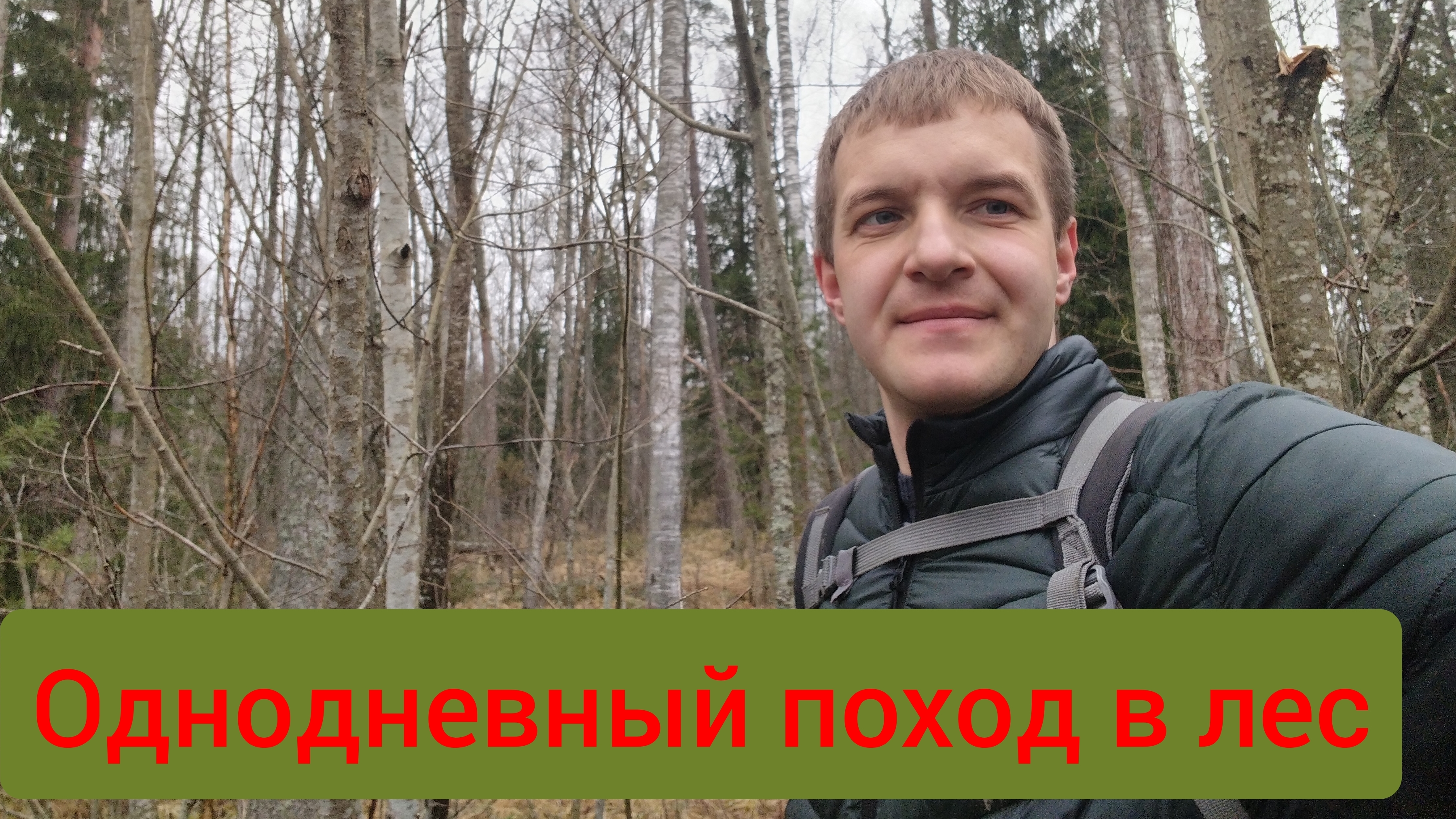 Как провести выходной день? Однодневный поход в лес.