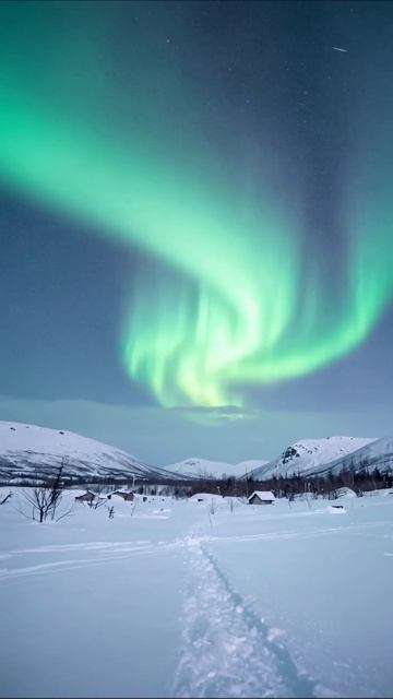 Северное сияние: волшебство зимней ночи #северноесияние #природа #зима