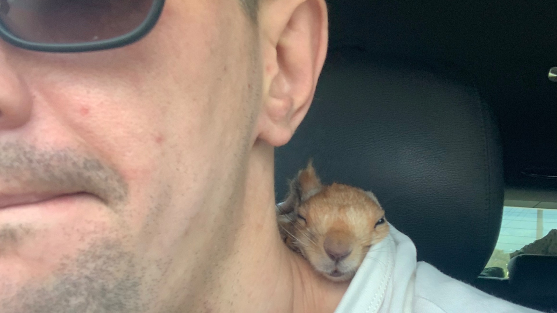 Чип гуляет в Москве😎