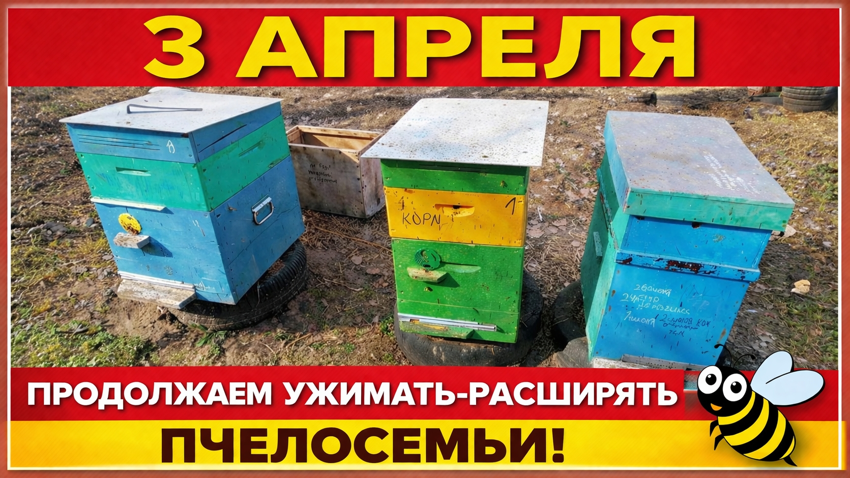3 апреля. Продолжаем ужимать - расширять пчелосемьи