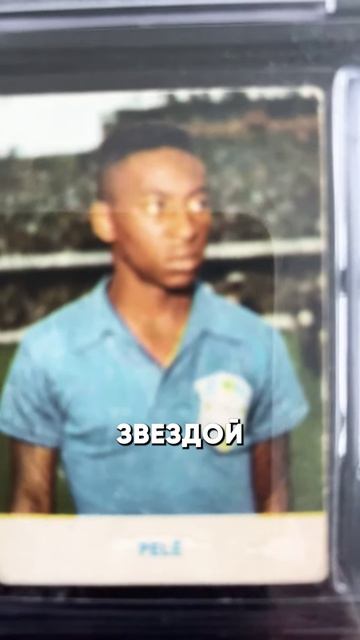 сам ты кусок картона