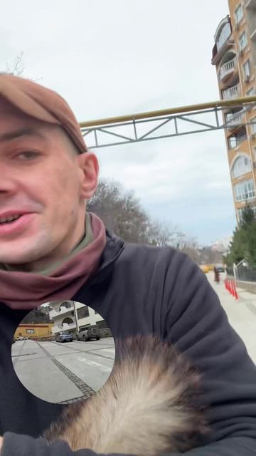 Выходим на прогулку