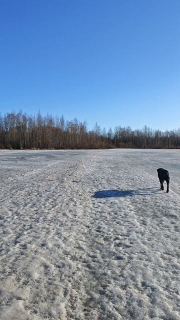 04.04.26. Доброго утра!