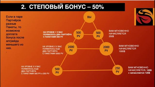 Маркетинг  Whieda за 10 минут