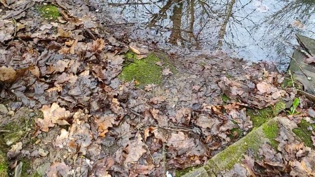 3 апреля 2026 года. Приехала домой. На дачном участке в Подмосковье