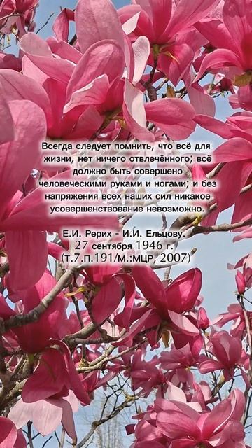 Е.И.Рерих. Человеческими руками и ногами