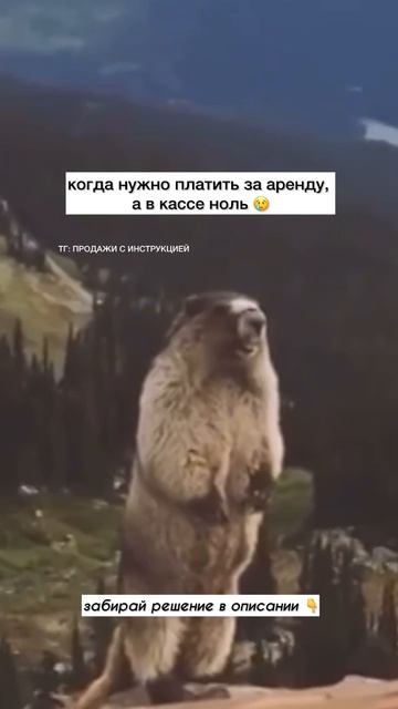 Как увеличить прибыль в бизнесе,забирайте здесь: Https://t.me/Liliyawinner/1704