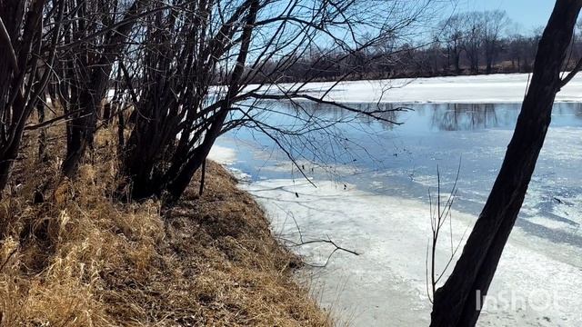 Прогулка к реке Бира. С соседкой Тамарой 💥👌