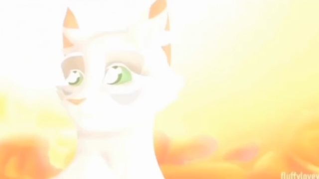 Воробей мап коты-воители