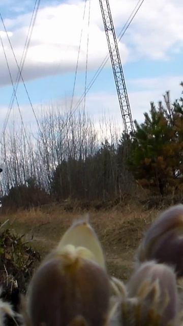 #bass #music #альфа  #минск #мото #природа