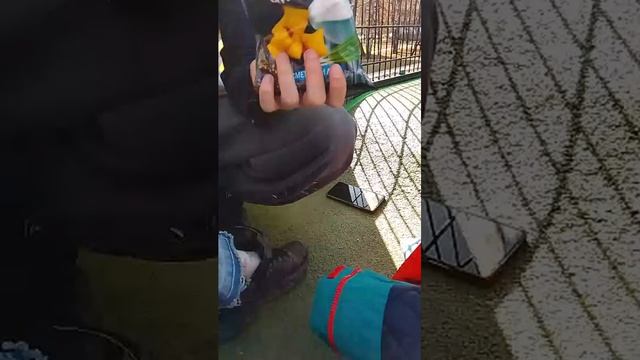 прогулка с друзьями