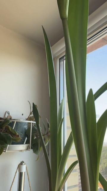 026d86706198bd6d012065dce3d945da