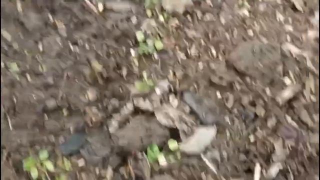 VID_20260404_014411_530