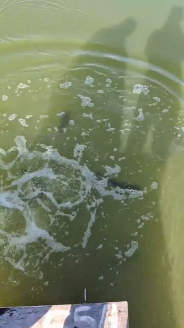 запуск04.04.mp4