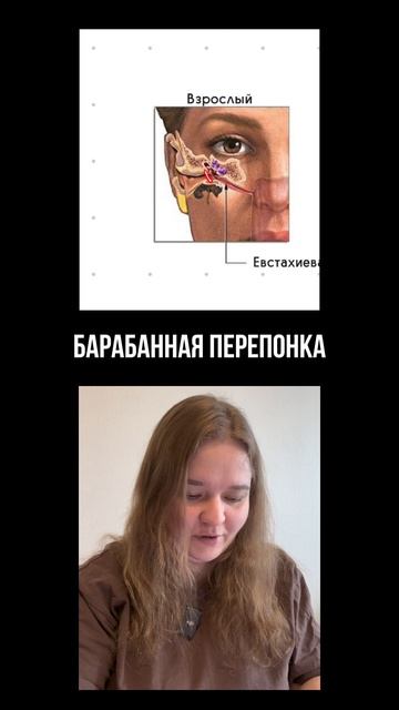 📚Конспекты для по билогии с которыми ты наконец начнешь решать вторую часть. Ссылка в профиле