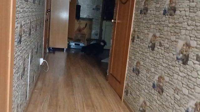 Учим с Каем Апорт)