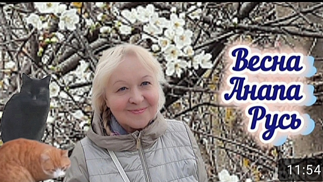 Санаторий Русь. Анапа. Мартовские коты! Зацветают тюльпаны.