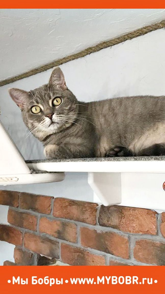 Сегодня будем немножко хвалить себя и свою работу❤