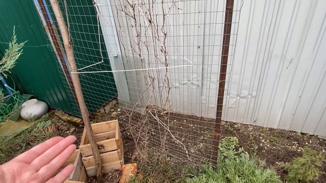 04-04-2026. Дела садовые! Кругом красота .