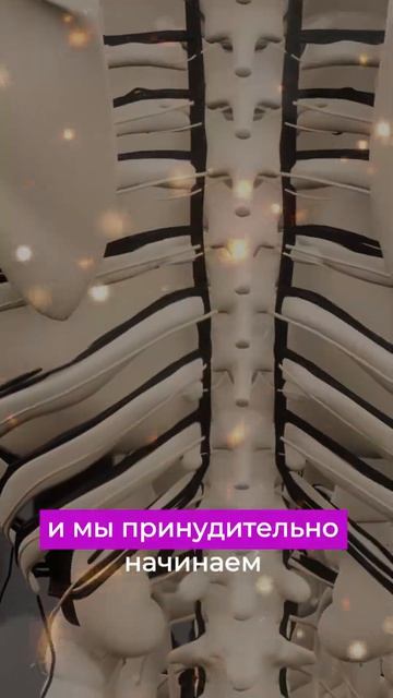 Боитесь ставить банки на позвоночник? Узнайте, почему это безопасно и полезно! #hijama #хиджама