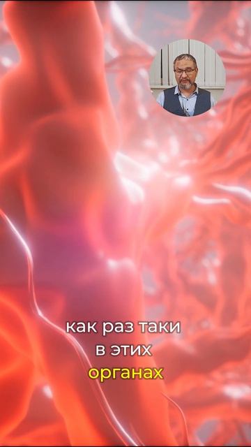 Болезни выделительной системы человека #hijama #хиджама #баночныймассаж #оздоровление