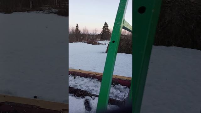 Гости из будущего!