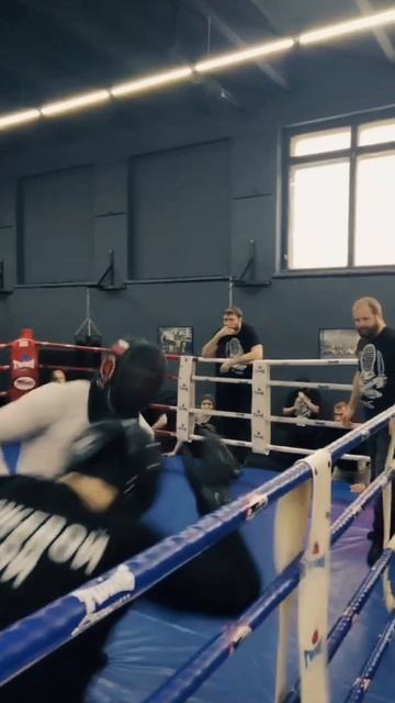 Николаевич сказал: никаких салочек. Работаем.