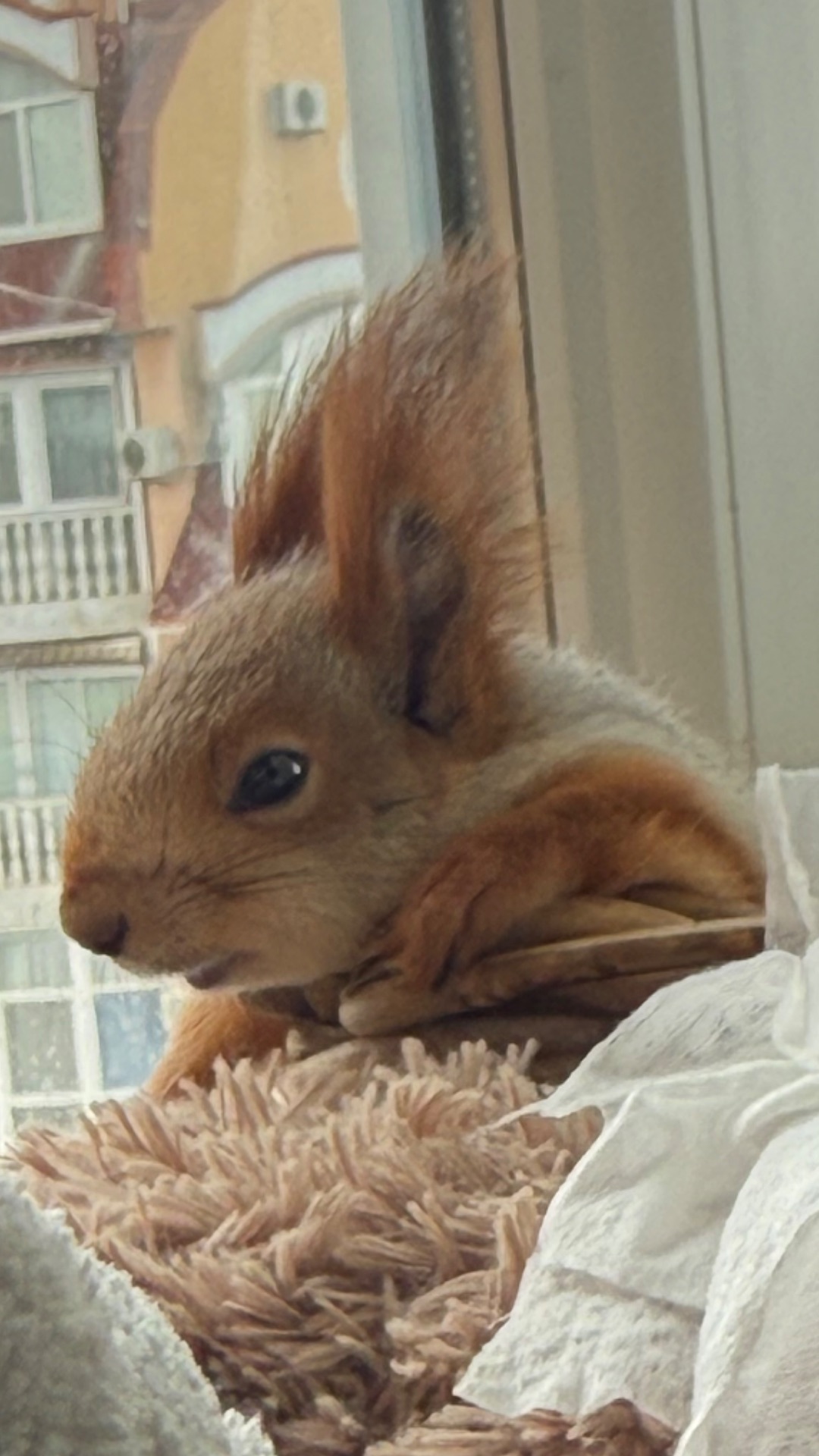 Распакоука подарка от Макса