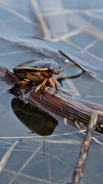 9a30f80623f864ff6f240a48ec43d891