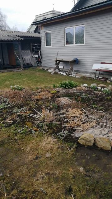 Весенние дела