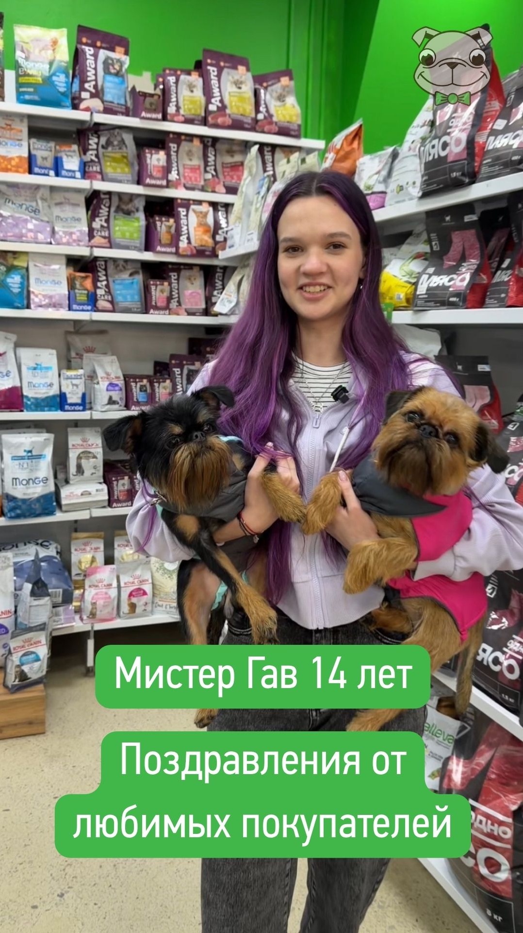 Лапки Пати: нам 14 лет | Мистер Гав Челябинск | поздравления, любимые клиенты