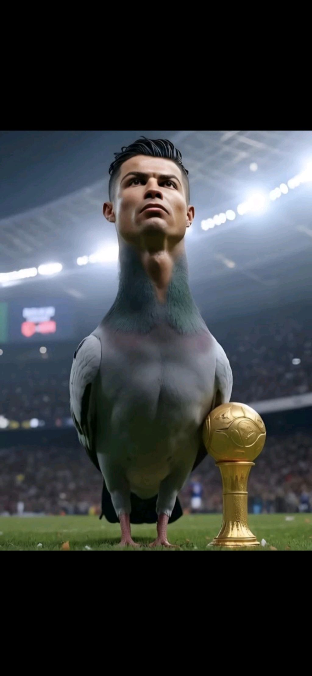 Бургер? Он следит за мной!!!