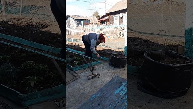 Решила сегодня во дворе сделать порядок