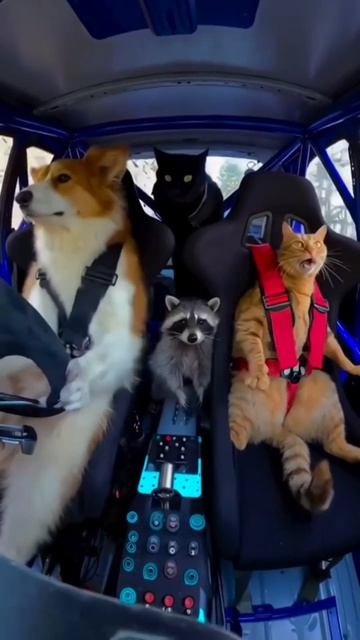 #майлз #яздесь