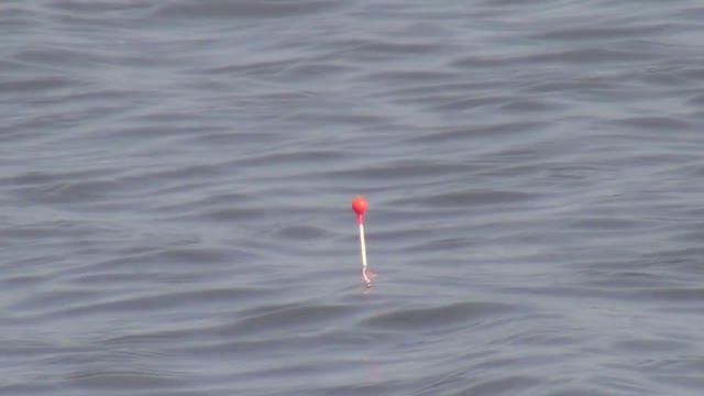 Ловля плотвы на поплавок с дальним забросом рано весной (2019г)