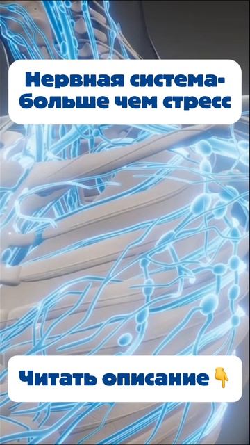 13ca23464df6f4aff06a5c6f7f11d79c