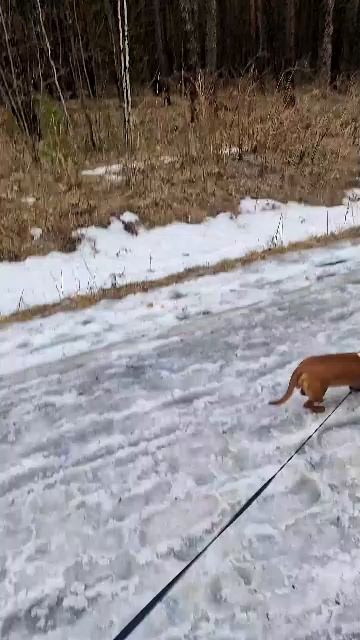 тропа здоровья