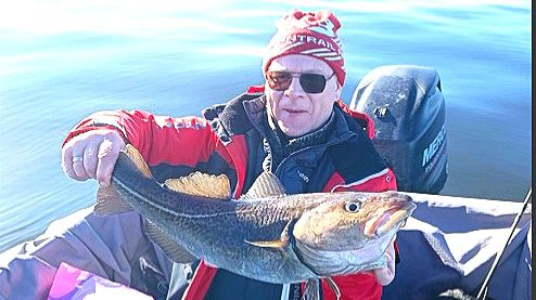 97355d3cb38e114ae6812245a05d9909