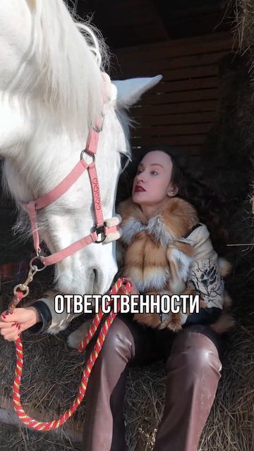 Лучшая психотерапия в моей жизни