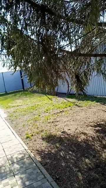 ☀🌾весенний день с реборном викой🌾☀