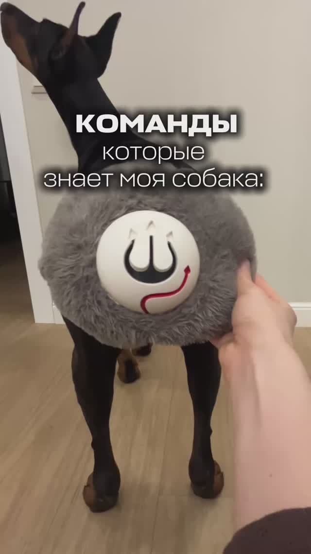 КОМАНДЫ