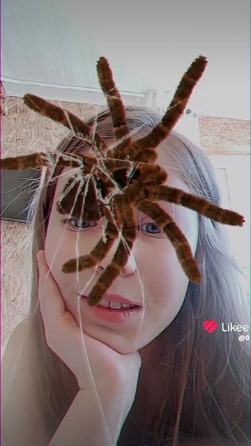 паук